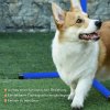 PawHut agility set pro psy 4-dílný 99x65x94 cm výškově nastavitelný se 2 překážkovými tyčemi 2 slalomovými tyčemi a 4 plastovými zemními tyčemi Modrá | Aosom.de