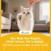 bQ961819dc8474a07