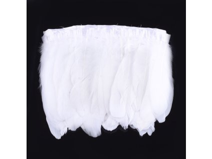 Husí peří bílé 145~195mm 10 cm v balení