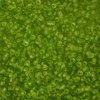 Rokajlové korálky zeleno žluté velikost 12/0 matná barva, balení cca 12 gramů