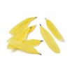 Přívěsek husí peří žluté 86x17x3mm 1 kus v balení