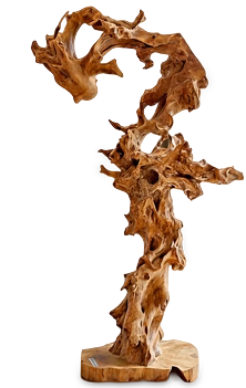 Tall, twisting abstract teak root decoration