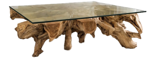 Rectangular teak root coffee table with glass top