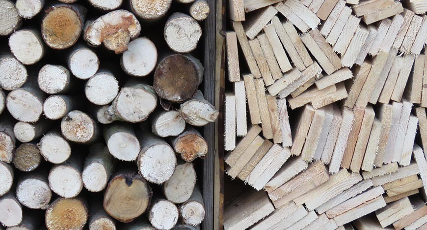 Drevo – zloženie a delenie