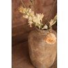 the clay echo vase cream m 11