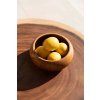 the teak root fruit bowl 6