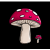 Igel9