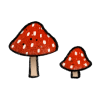 Frischling2