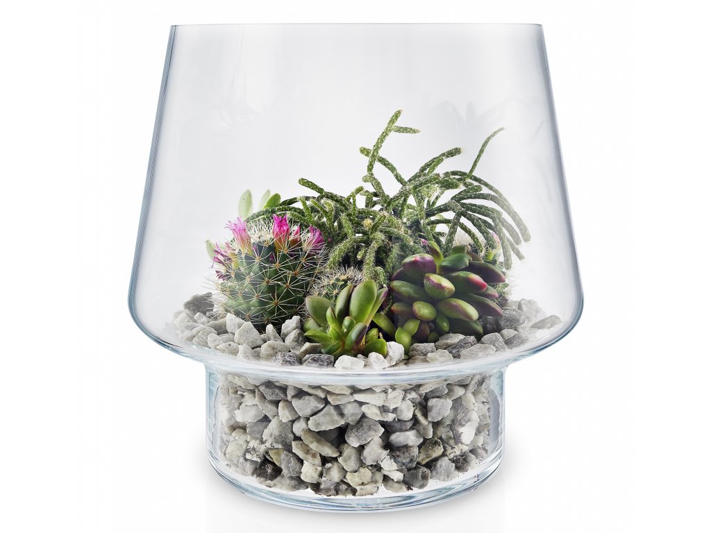 Skleněná váza na sukulenty 21 cm | DOMIO