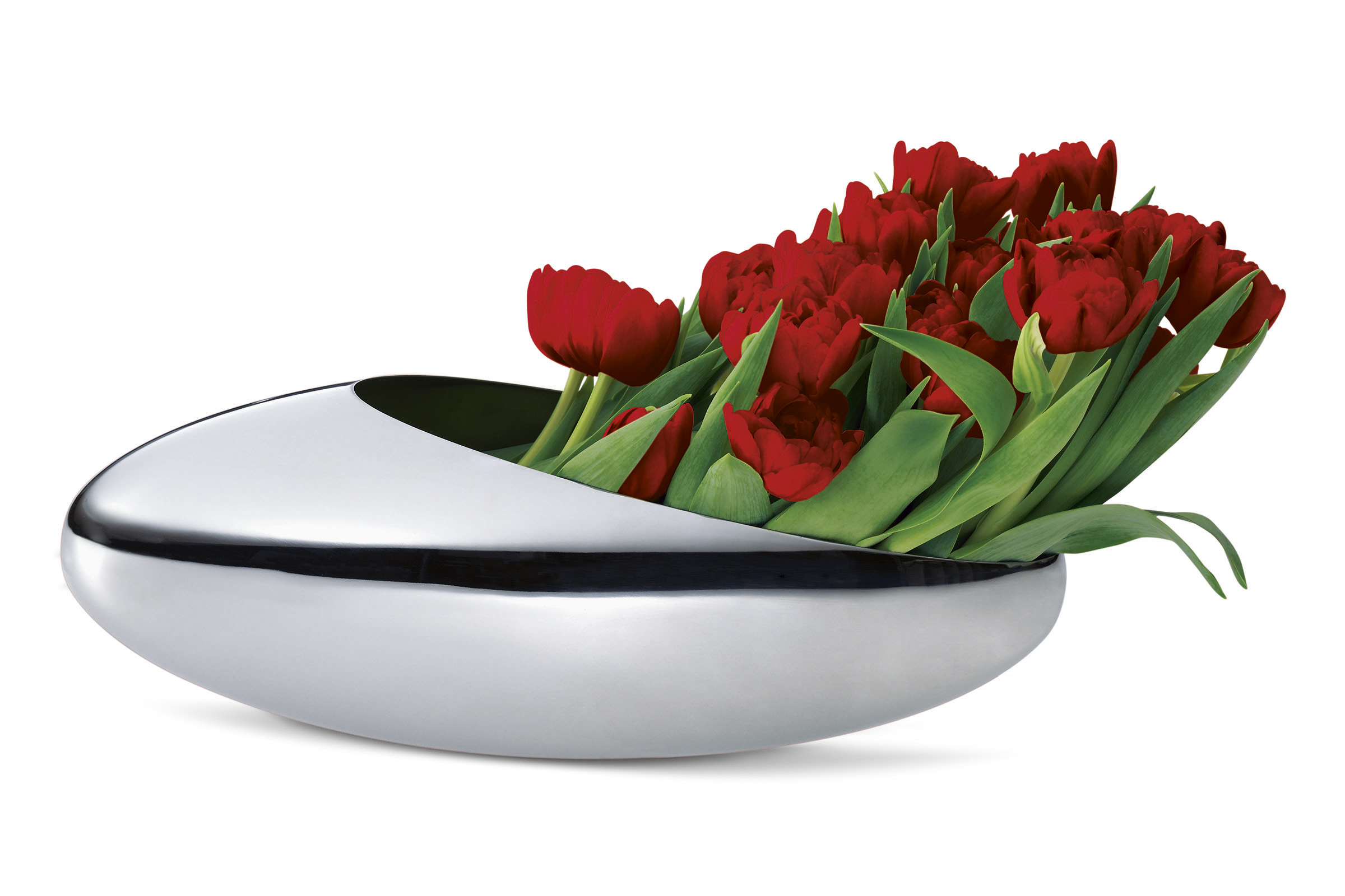 PHILIPPI COCOON váza tulipán