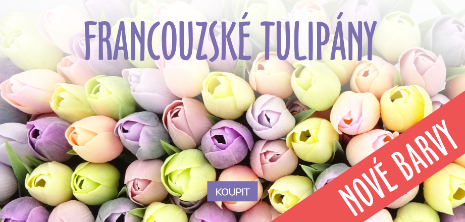 Francouzské tulipány