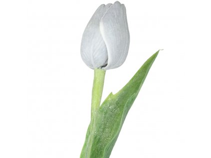 4020 sedo bily tulipan 43 cm