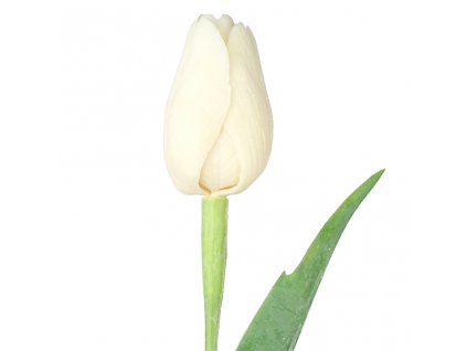4071 ivory tulipan 43 cm