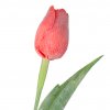 4101 jasne cerveny tulipan 43 cm