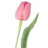 4110 1 malinovy tulipan 43 cm