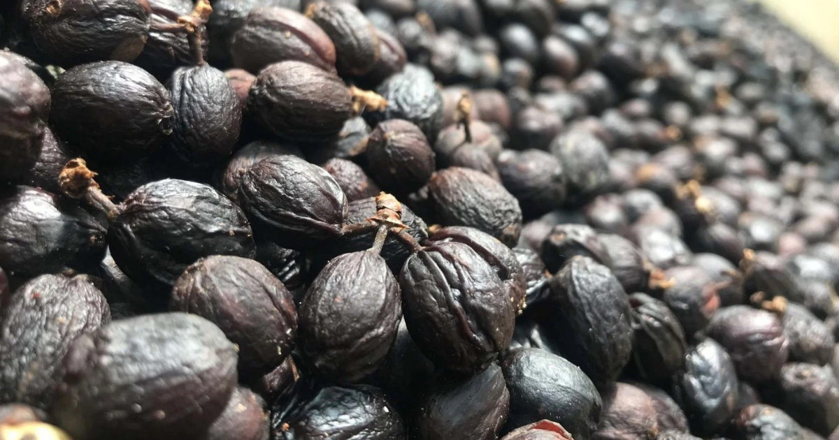 Kávové know- how - Čo je suchá metóda spracovania