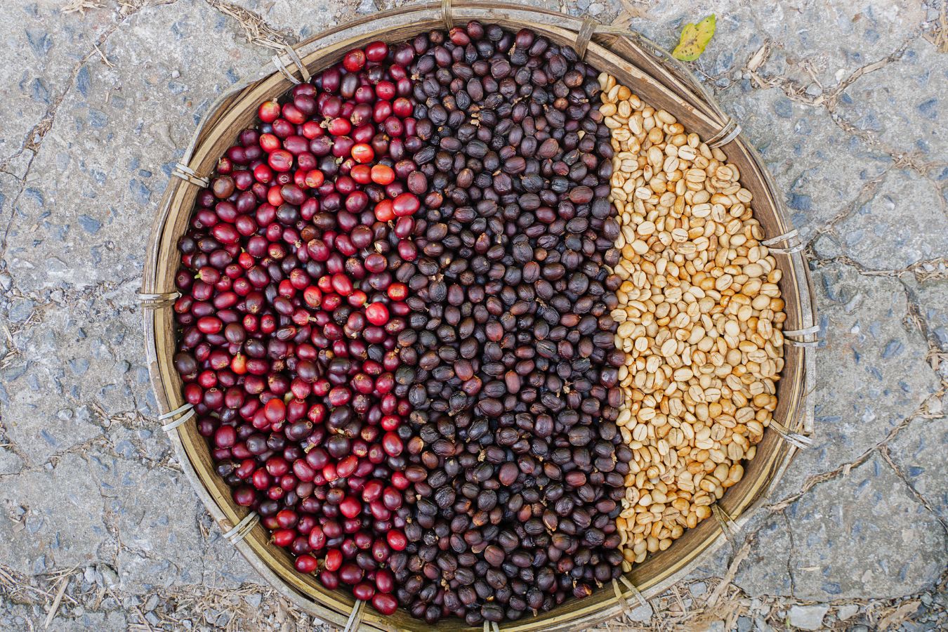 Kávové know-how: Prečo je washed metóda najekologickejšia?