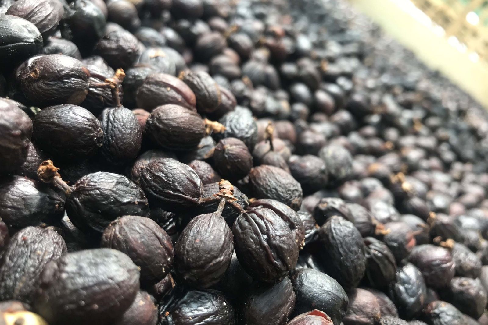 Kávové know- how - Čo je suchá metóda spracovania