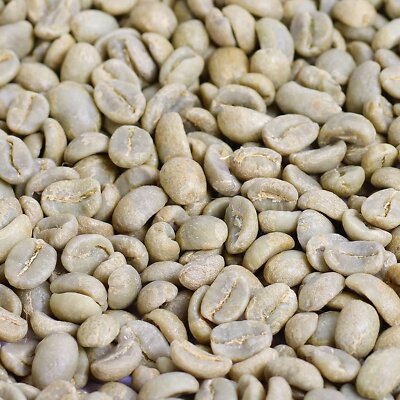 Dom kávy zelená zrnková káva Mexico DECAFF 100% Arabica 500g
