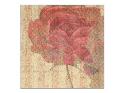 Sada 6 podložek na stůl z korku Arte Rose 10 x 10 cm AMBITION
