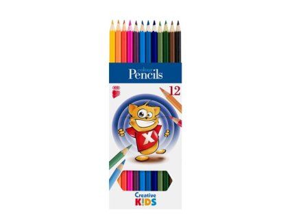 TICSZCV12