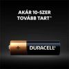DURACELL Basic batéria tužková AA 10ks