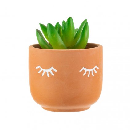 4955 3 ten019 b mii eyes shut terracotta planter lifestyle