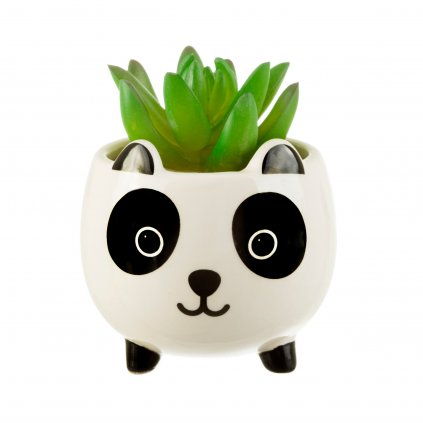 XDC368 B Mini Panda Planter Lifestyle
