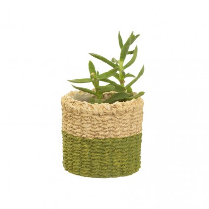 CHU005 B Mini Green Dip Cement Basket Planter Lifestyle