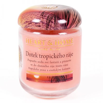 801 1 velka svicka tropicky raj 310g