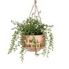 XC434 B I Will Survive Hanging Planter