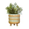 CZQ039 B Leggy Woven Planter