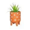 TEN027 B Polka Dot Leggy Planter