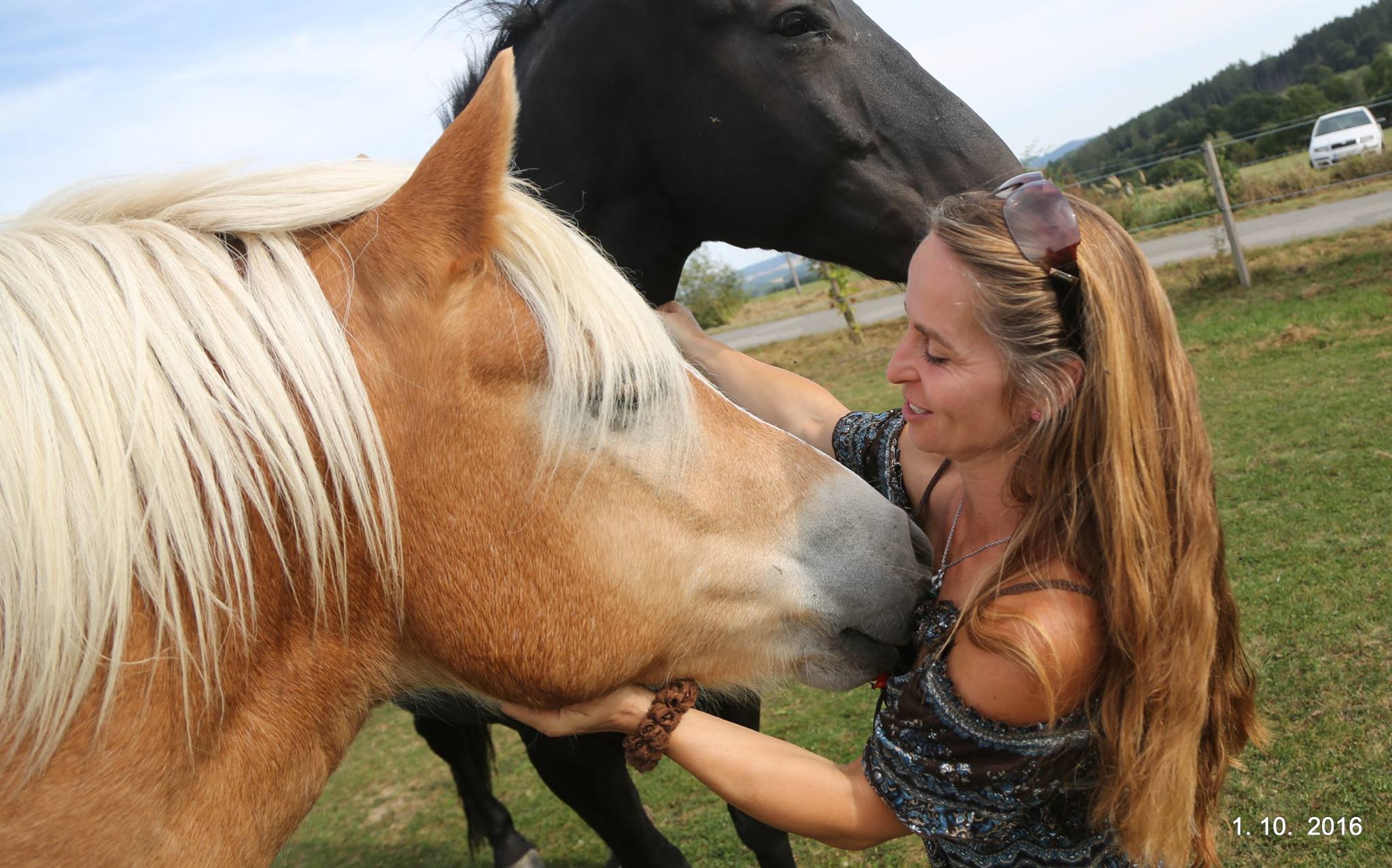 Chcete pomoci naši koníkům?