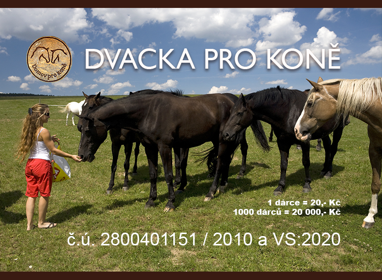 Stav Dvacky pro koně k 30.6.2017