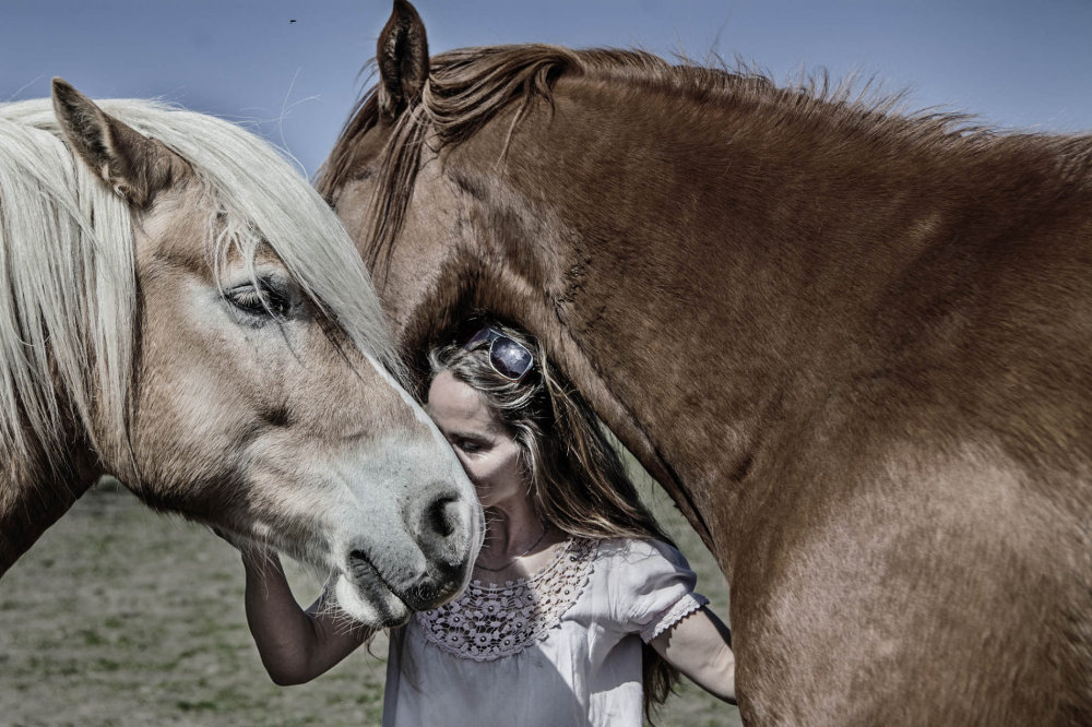Hospodářské noviny - Zde končí šampioni i týraná zvířata