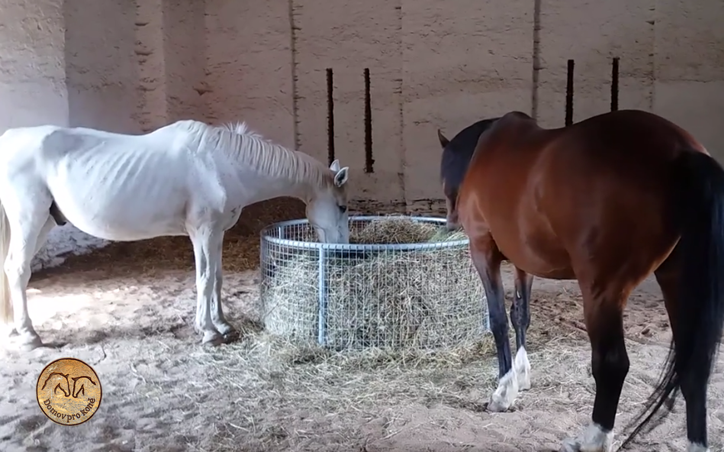 Nové příkrmiště v malé rodině