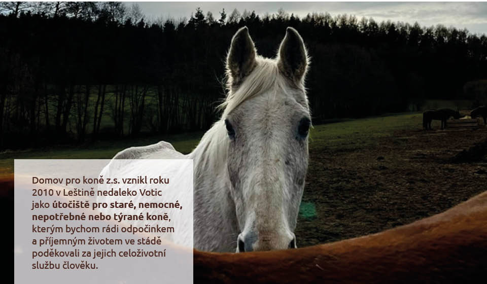 Jak nám můžete pomoci