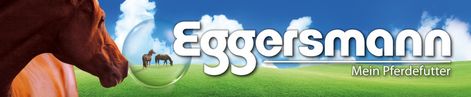 Eggersmann