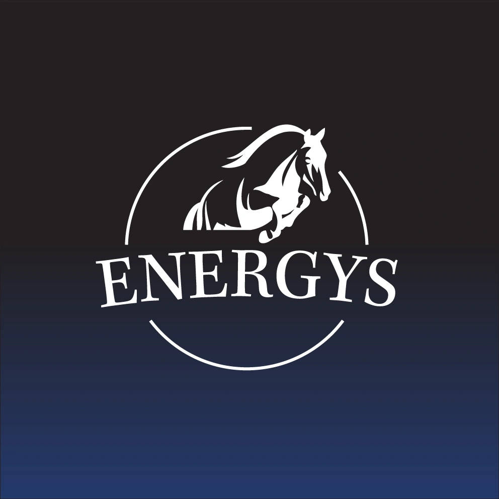 logo-energys-blue-noglow-vector