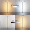 Stojaci lampa 110YGDimming 5