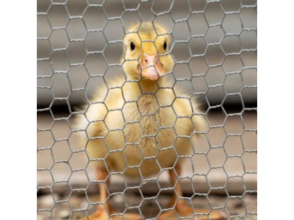 1772114134 897d964c 10c2 45d3 9ca7 d896f15ea057