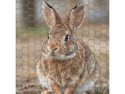 1772114009 a691780a 2f0d 4ddd b8e9 3a7e789781ef