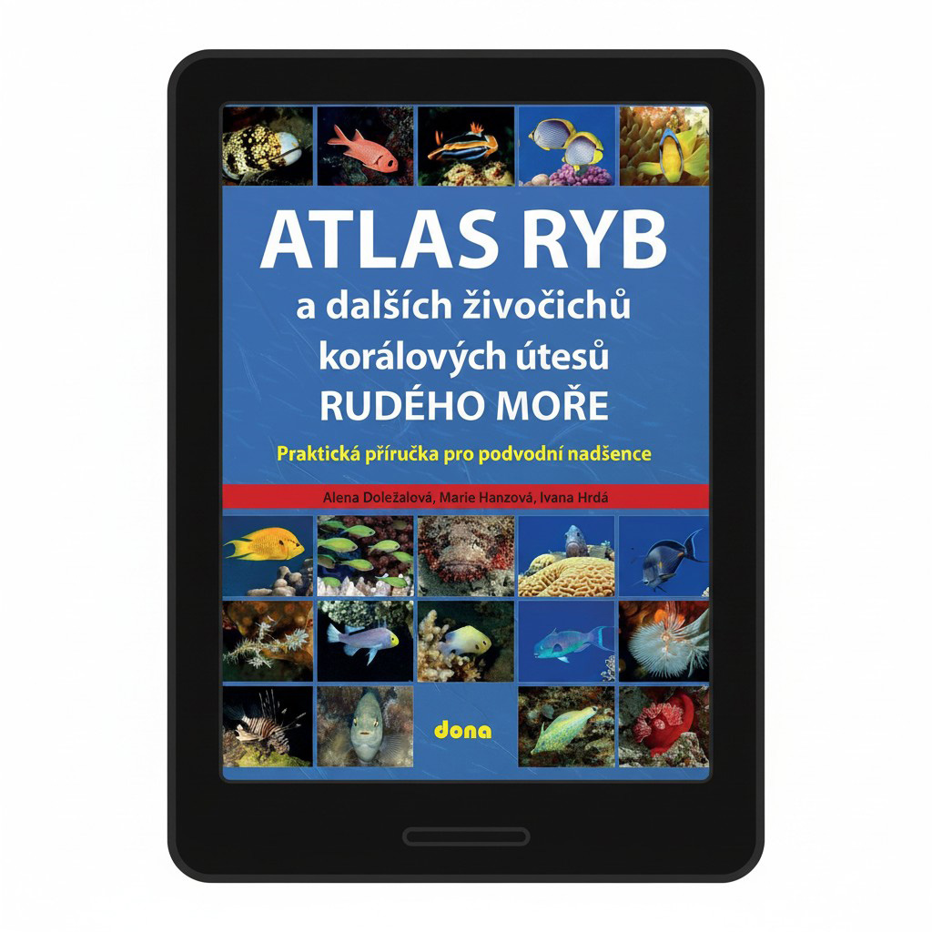 Ryby Rudého moře