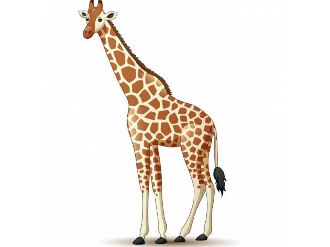 giraffe1