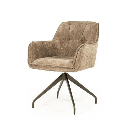 hugotaupe