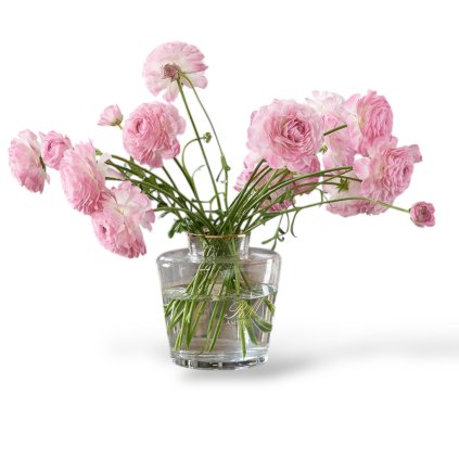 Photoroom 20250312 130607