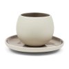 21187 pohar clement cup saucer