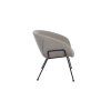 feston grey