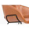 feston brown5